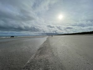 IMG_5113