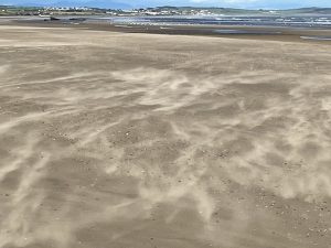 IMG_5140